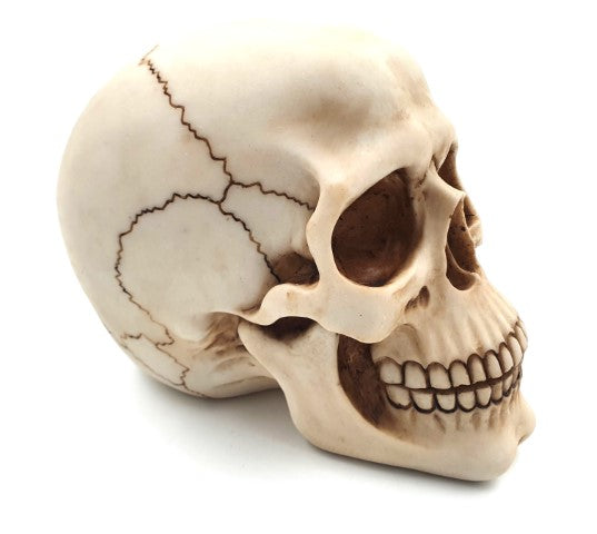 Dekorative Schädel-Figur 15 cm - MC-30685