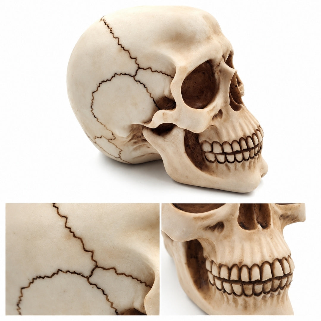 Dekorative Schädel-Figur 15 cm - MC-30685
