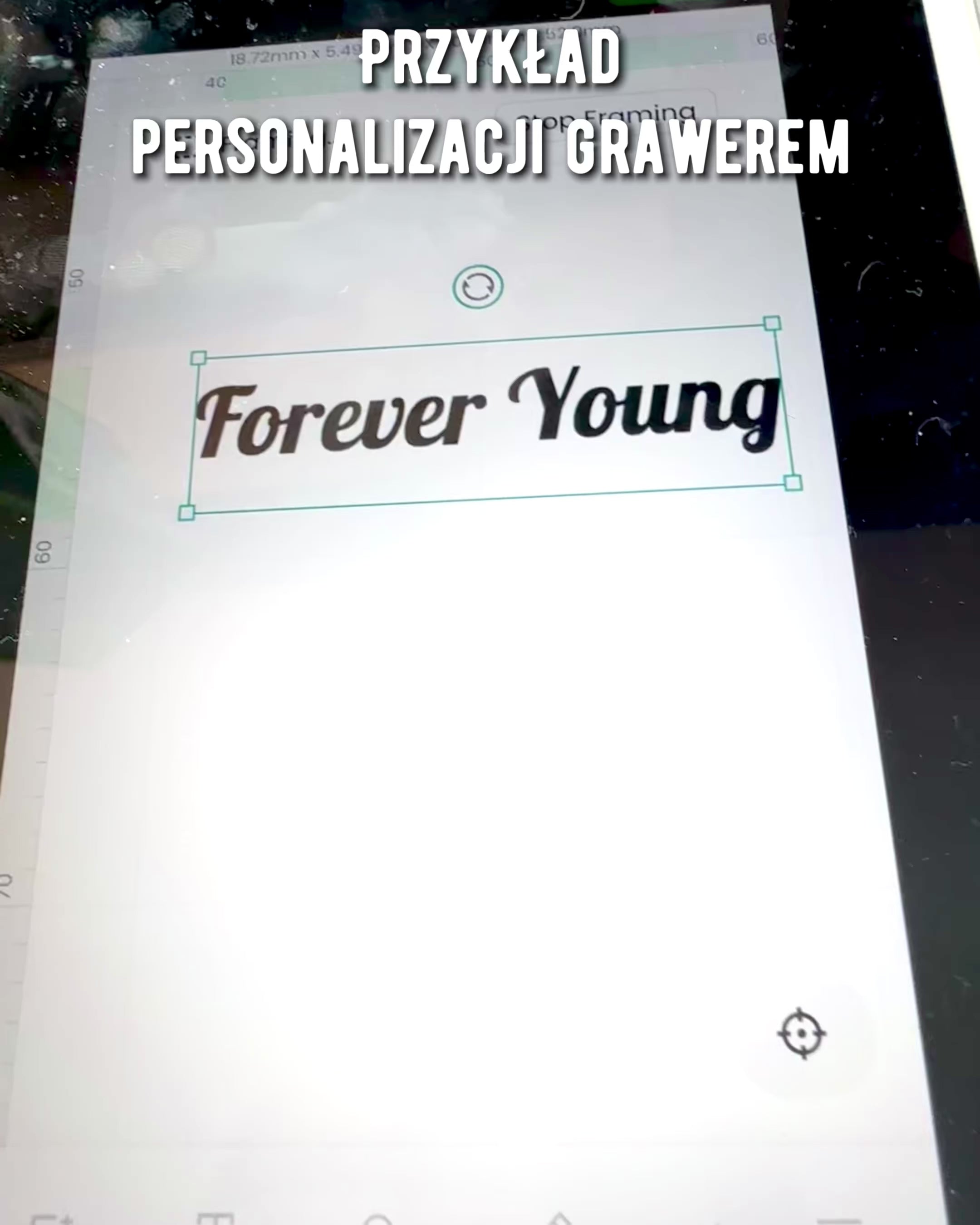 Vintage-Kalligrafiefeder mit natürlicher Gänsefeder – Ideales Geschenk zum Muttertag oder für Lehrer. Gravur