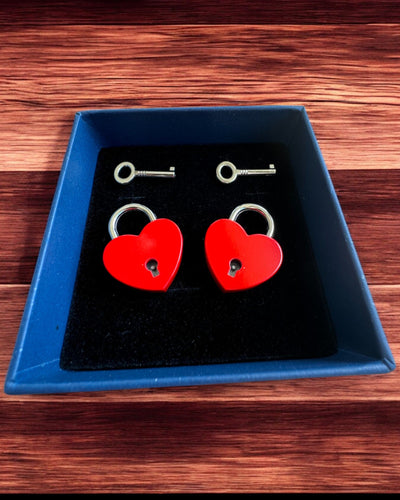 Mini Cadenas d'Amour Cœur DeLuxe, Ensemble de 2 cadenas avec clés, 6 variantes au choix, possibilité de personnalisation par gravure pour cadeau