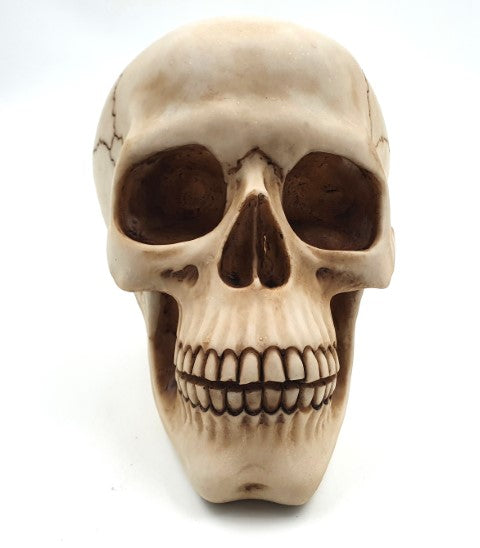Dekorative Schädel-Figur 15 cm - MC-30685