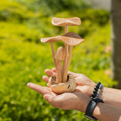 Champignons forestiers sculptés à la main - Ensemble de 4 grands champignons en bois naturel, parfaits comme cadeau - Hauteur 14 cm, style rustique unique, idéal pour la décoration intérieure