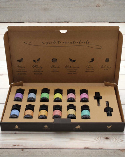 Herbstliche Harmonie der Natur – Luxuriöses Set mit 12 ätherischen Ölen à 5 ml mit Tropfpipetten