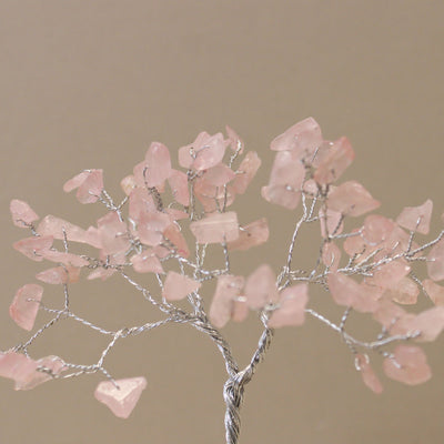 Principessa rosa