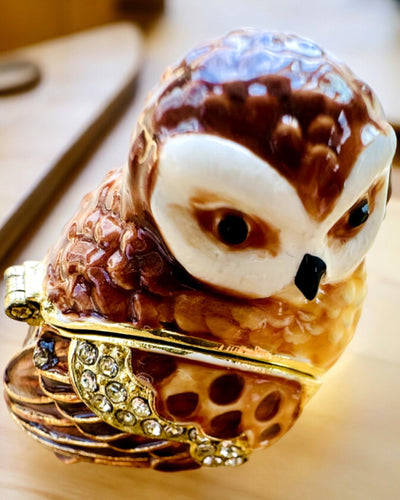 "Urocza Sówka z Kryształkami - Skrytka na Biżuterię z możliwością personalizacji grawerem, prezent" in Italian is:

"Gufetto Incantevole con Cristalli - Scrigno per Gioielli con possibilità di personalizzazione con incisione, regalo"