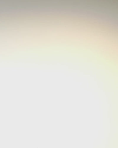 Elegante Orologio da Uomo al Quarzo - Meccanismo Trasparente e Eleganza Sportiva