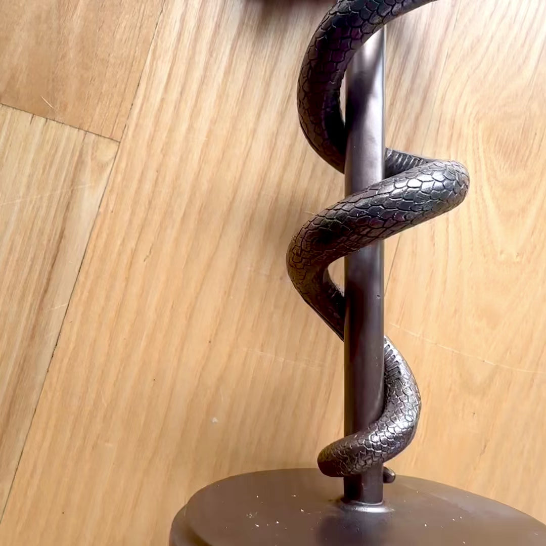 Figurine Bâton d'Esculape 30 cm en résine - cadeau personnalisé pour médecin, infirmier ou pharmacien - décoration bronze/laiton avec gravure